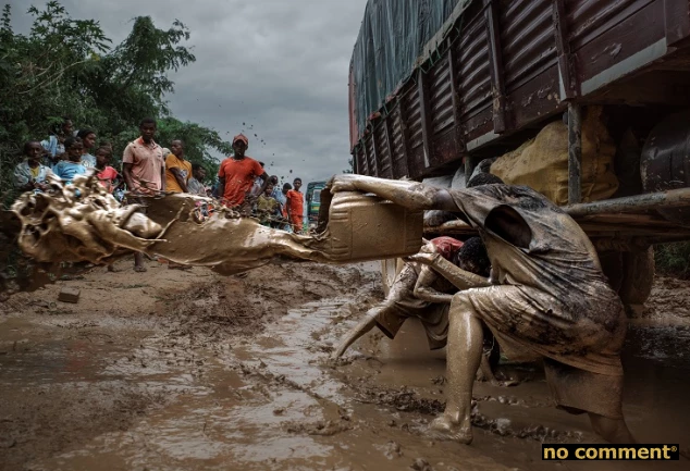 no comment - Défis de Conservation et Efforts Communautaires dans la Forêt de Tsitongambarika à Madagascar